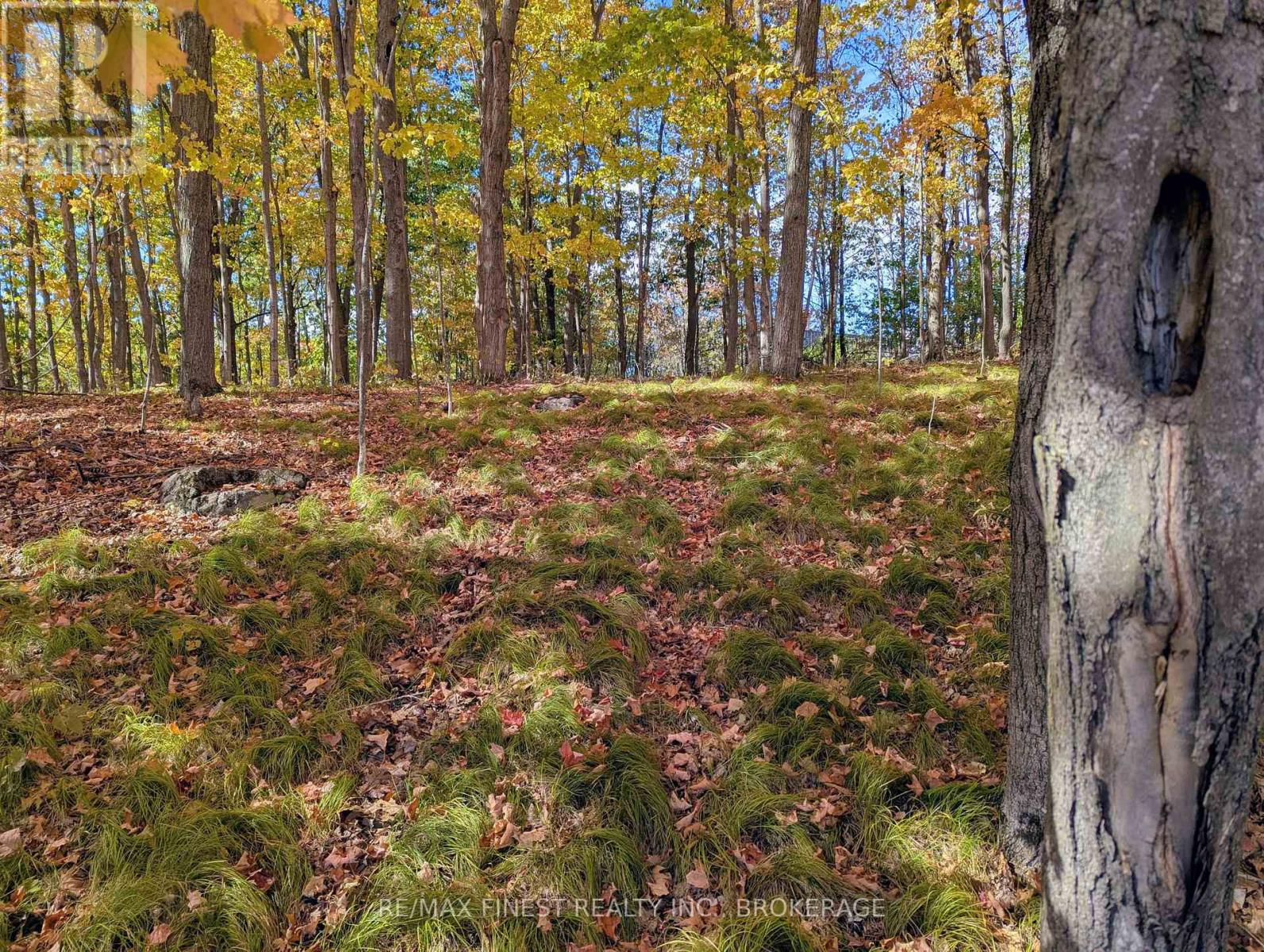 6224 Battersea Road, Frontenac, Ontario  K0H 1H0 - Photo 14 - X12421831