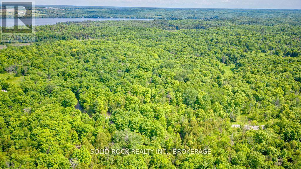 Lot 24 Lee Road, Frontenac, Ontario  K0G 1X0 - Photo 10 - X12423617