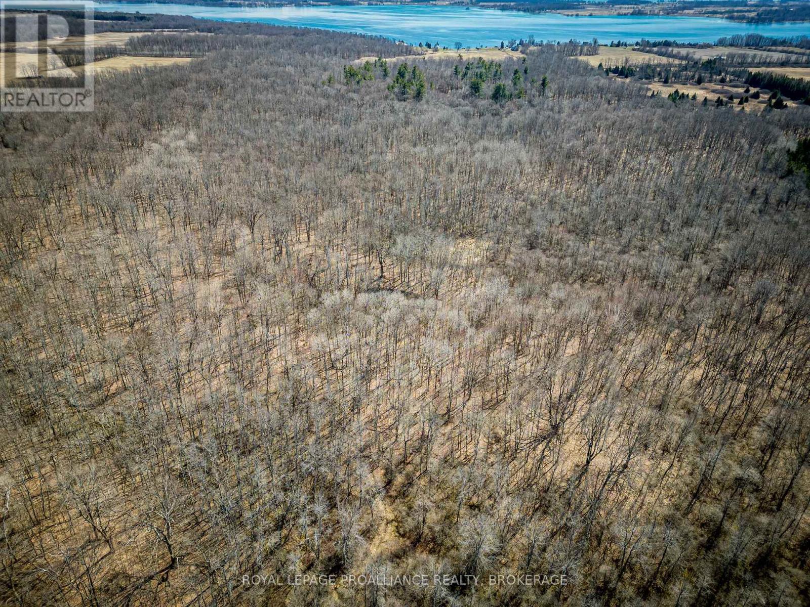 Lot 3 Baseline Road, Frontenac Islands, Ontario K7G 2V6 - Photo 6 - X12442508