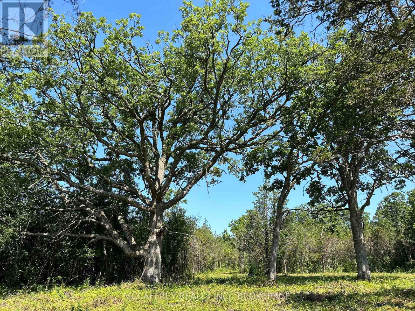 0 County Rd 9, Greater Napanee, Ontario  K7R 3K8 - Photo 2 - X12448846