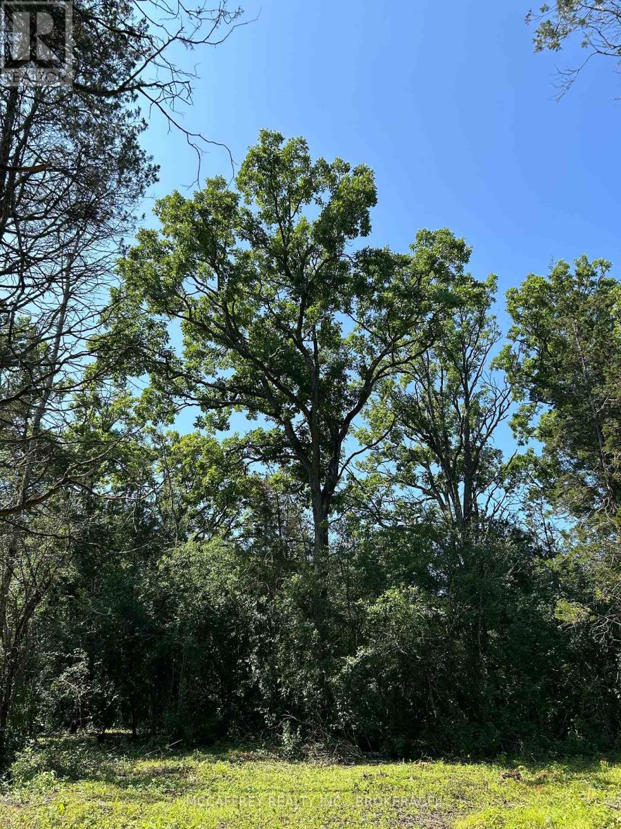 0 County Rd 9, Greater Napanee, Ontario  K7R 3K8 - Photo 33 - X12448846