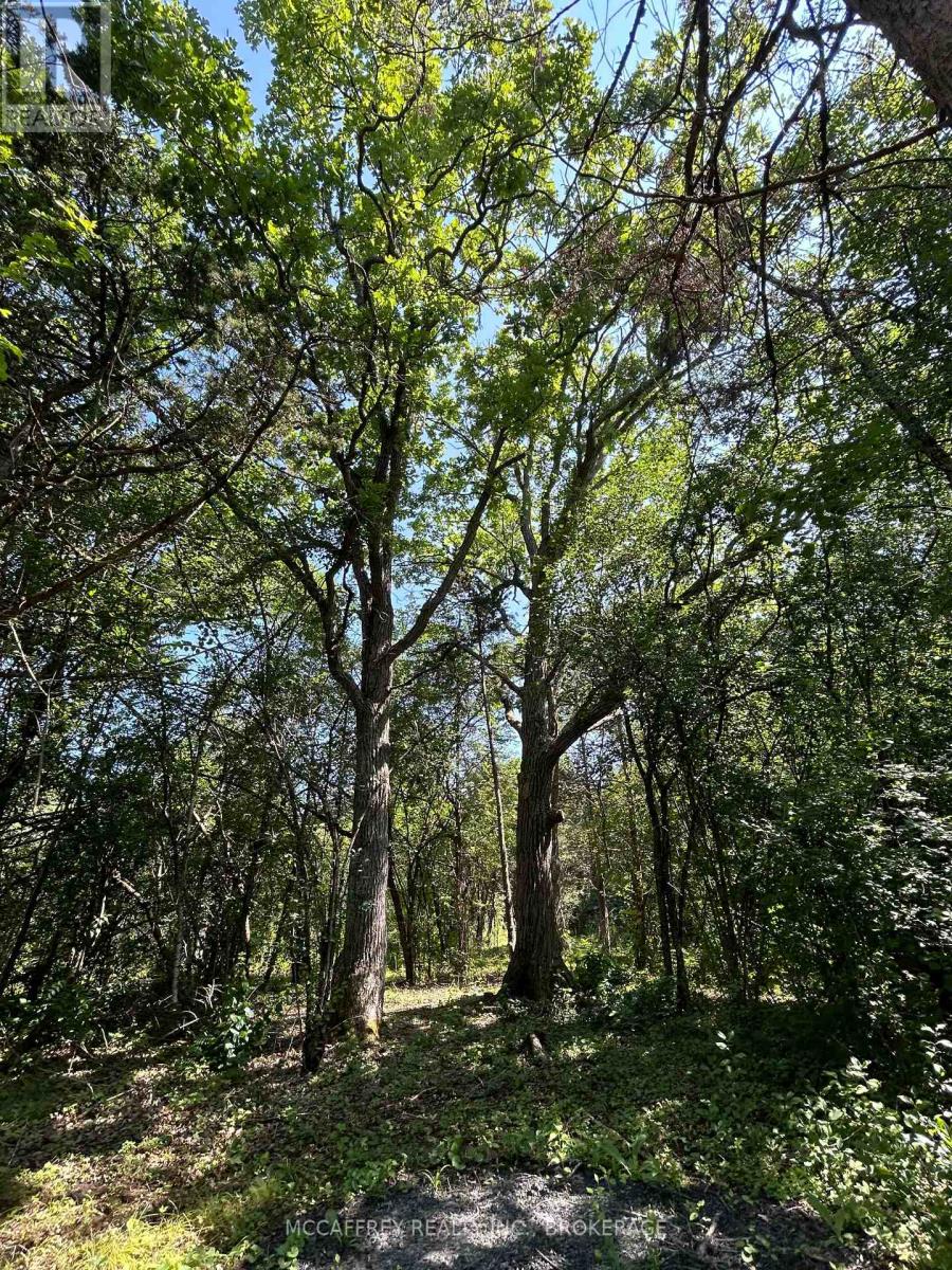 0 County Rd 9, Greater Napanee, Ontario  K7R 3K8 - Photo 34 - X12448846