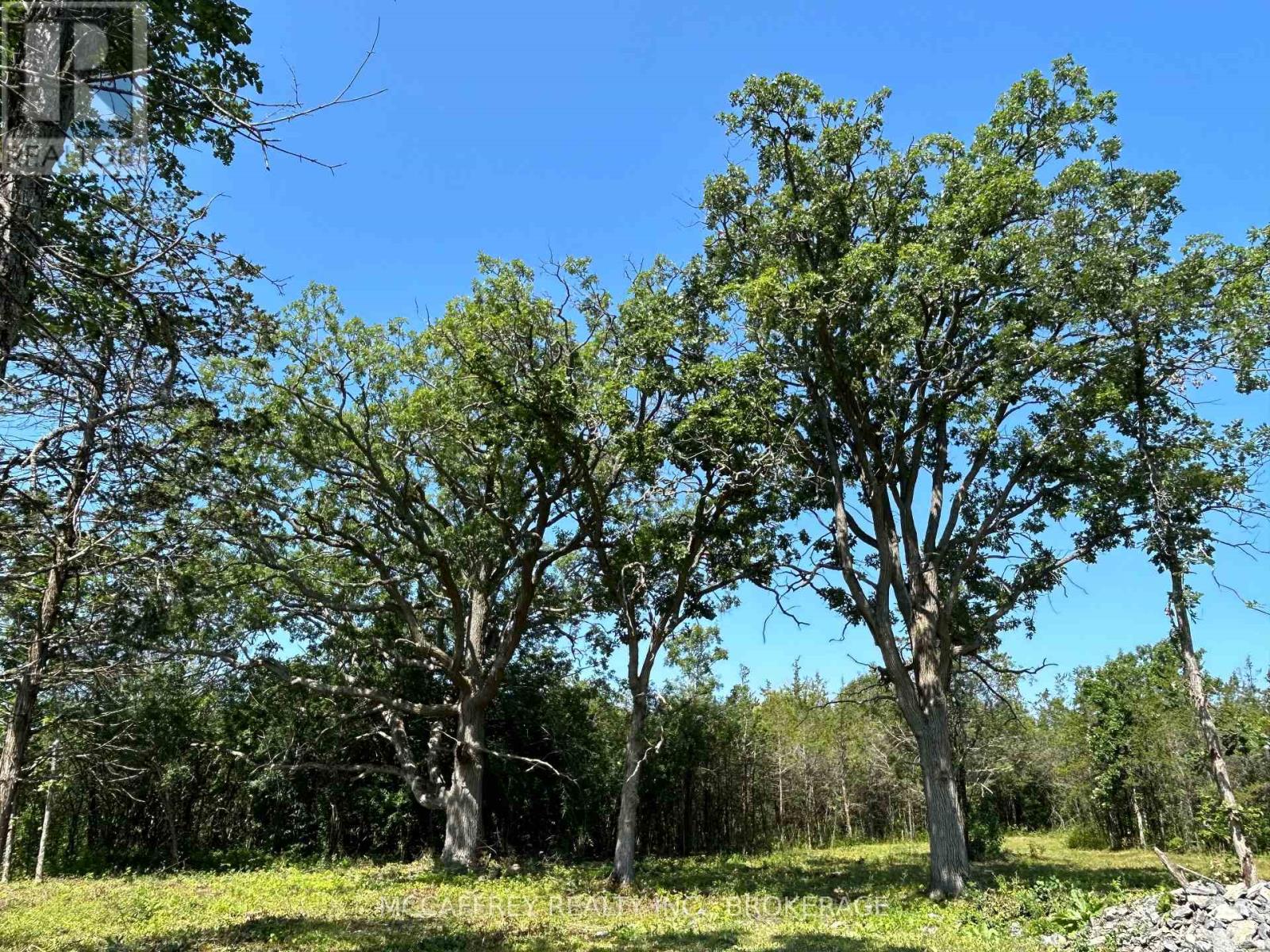 0 County Rd 9, Greater Napanee, Ontario  K7R 3K8 - Photo 35 - X12448846