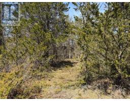 590 LOVE ROAD, Loyalist, Ontario