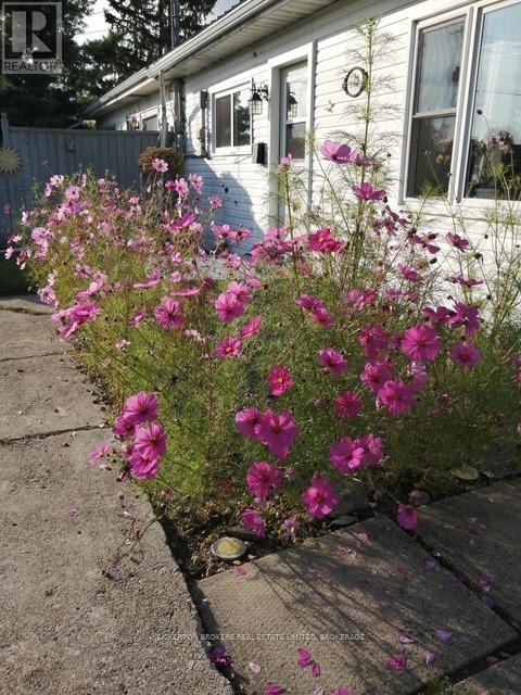 248 Cemetery Road, Gananoque, Ontario K7G 1V7 - Photo 39 - X12740596