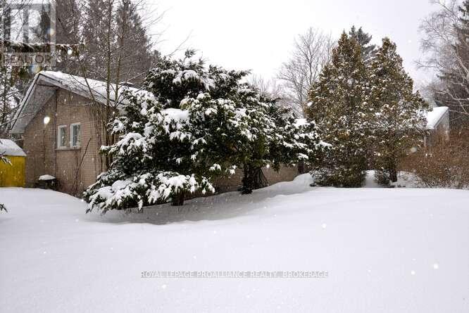 5 Helena Place, Kingston, Ontario  K7L 4V1 - Photo 29 - X12824880